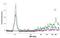 NADH:Ubiquinone Oxidoreductase Subunit C2 antibody, NBP1-88934, Novus Biologicals, Western Blot image 