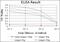 SLK antibody, GTX60461, GeneTex, Enzyme Linked Immunosorbent Assay image 