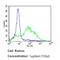 Intercellular Adhesion Molecule 1 antibody, MA5407, Invitrogen Antibodies, Flow Cytometry image 