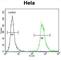 WD repeat-containing protein 3 antibody, abx026865, Abbexa, Western Blot image 