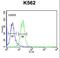 Rh Family B Glycoprotein (Gene/Pseudogene) antibody, LS-C162587, Lifespan Biosciences, Flow Cytometry image 