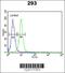 Ribosomal Protein L18a antibody, 63-802, ProSci, Immunofluorescence image 