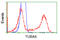 Tubulin Alpha 8 antibody, LS-C115057, Lifespan Biosciences, Flow Cytometry image 
