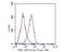 Ribosomal Protein S6 Kinase A1 antibody, NBP2-80423, Novus Biologicals, Flow Cytometry image 