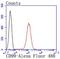 CD99 Molecule (Xg Blood Group) antibody, NBP2-67019, Novus Biologicals, Flow Cytometry image 