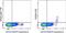 Ectonucleotide Pyrophosphatase/Phosphodiesterase 3 antibody, 12-2039-42, Invitrogen Antibodies, Flow Cytometry image 