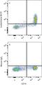 LTB4 antibody, FAB099F, R&D Systems, Flow Cytometry image 