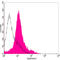 Cytochrome c, somatic antibody, LS-C203199, Lifespan Biosciences, Flow Cytometry image 