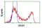 B-Raf Proto-Oncogene, Serine/Threonine Kinase antibody, GTX84806, GeneTex, Flow Cytometry image 