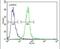 Myozenin-1 antibody, PA5-25172, Invitrogen Antibodies, Flow Cytometry image 