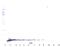 Nerve Growth Factor antibody, XP-5110, ProSci, Western Blot image 