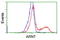 Aryl Hydrocarbon Receptor Nuclear Translocator antibody, LS-C115182, Lifespan Biosciences, Flow Cytometry image 