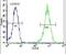 La Ribonucleoprotein Domain Family Member 6 antibody, PA5-24317, Invitrogen Antibodies, Flow Cytometry image 