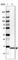 NADH:Ubiquinone Oxidoreductase Subunit C2 antibody, HPA038873, Atlas Antibodies, Western Blot image 