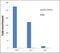 JunD Proto-Oncogene, AP-1 Transcription Factor Subunit antibody, 710701, Invitrogen Antibodies, Chromatin Immunoprecipitation image 