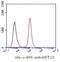 Keratin 20 antibody, GTX16500, GeneTex, Flow Cytometry image 