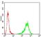 Tubulin Beta 1 Class VI antibody, NBP2-52577, Novus Biologicals, Flow Cytometry image 