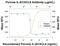 C-X-C Motif Chemokine Ligand 8 antibody, AF535, R&D Systems, Neutralising image 