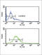 Granzyme M antibody, abx032988, Abbexa, Flow Cytometry image 