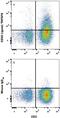 TNF Superfamily Member 8 antibody, FAB1028A, R&D Systems, Flow Cytometry image 