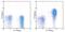 Interleukin 7 Receptor antibody, 15-1278-41, Invitrogen Antibodies, Flow Cytometry image 