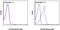 CD160 Molecule antibody, 50-1601-80, Invitrogen Antibodies, Flow Cytometry image 