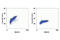 Dynamin 1 Like antibody, 4494S, Cell Signaling Technology, Flow Cytometry image 