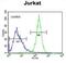 CWC22 Spliceosome Associated Protein Homolog antibody, abx025910, Abbexa, Flow Cytometry image 