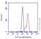 Carnitine Palmitoyltransferase 1A antibody, ab128568, Abcam, Flow Cytometry image 