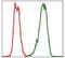 PDZ Binding Kinase antibody, NBP2-37514, Novus Biologicals, Flow Cytometry image 