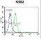 Follicle Stimulating Hormone Subunit Beta antibody, LS-C166260, Lifespan Biosciences, Flow Cytometry image 