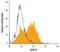 G Protein-Coupled Receptor Class C Group 5 Member C antibody, MA5-24257, Invitrogen Antibodies, Flow Cytometry image 