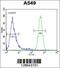 HIF-2-alpha antibody, 55-359, ProSci, Flow Cytometry image 