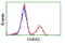 Checkpoint Kinase 2 antibody, TA500385, Origene, Flow Cytometry image 