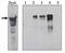 Dual Specificity Tyrosine Phosphorylation Regulated Kinase 1A antibody, PA1-12489, Invitrogen Antibodies, Western Blot image 