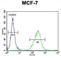 Olfactory Receptor Family 6 Subfamily C Member 4 antibody, abx025981, Abbexa, Western Blot image 