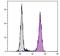 CD16 antibody, NBP1-28446, Novus Biologicals, Flow Cytometry image 