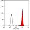 Complement C5a Receptor 1 antibody, NB100-66539, Novus Biologicals, Flow Cytometry image 