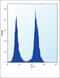 Monocarboxylate transporter 10 antibody, abx027294, Abbexa, Flow Cytometry image 