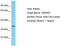 Oxidoreductase NAD Binding Domain Containing 1 antibody, TA331666, Origene, Western Blot image 