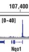 Nuclear Factor, Erythroid 2 Like 2 antibody, 12721S, Cell Signaling Technology, Chromatin Immunoprecipitation image 
