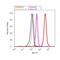 Autophagy Related 12 antibody, 701684, Invitrogen Antibodies, Flow Cytometry image 