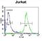 Zinc Finger Protein 841 antibody, abx026284, Abbexa, Western Blot image 