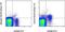 Killer Cell Lectin Like Receptor K1 antibody, 46-5882-80, Invitrogen Antibodies, Flow Cytometry image 