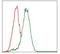 Cytochrome P450 Family 3 Subfamily A Member 4 antibody, NBP2-37502, Novus Biologicals, Flow Cytometry image 