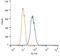 Insulin Like Growth Factor 2 Receptor antibody, NB300-514, Novus Biologicals, Flow Cytometry image 