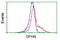 Gephyrin antibody, LS-C172534, Lifespan Biosciences, Flow Cytometry image 