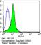 Dynein Light Chain LC8-Type 2 antibody, MA1-070, Invitrogen Antibodies, Flow Cytometry image 