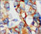 Tubulin Alpha 1b antibody, 251814, Abbiotec, Immunohistochemistry paraffin image 