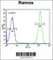 Electron Transfer Flavoprotein Subunit Alpha antibody, 55-652, ProSci, Immunohistochemistry paraffin image 